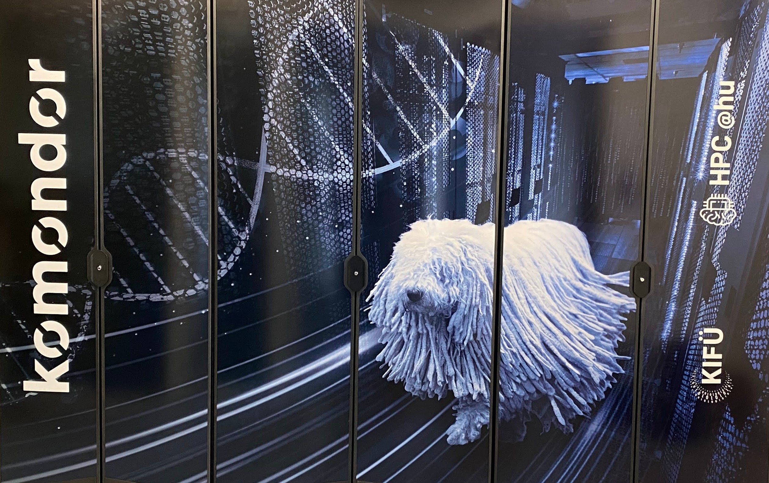 Komondor